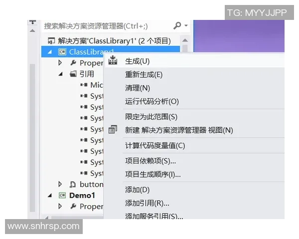 深入探讨VS2012视频控件的使用技巧与开发经验分享
